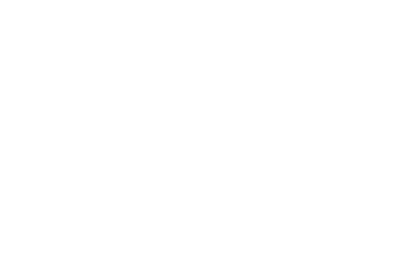 Vestal Tech